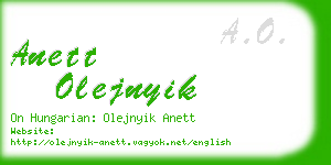 anett olejnyik business card